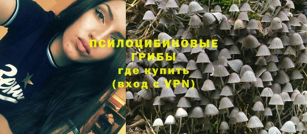 прущие крисы Армянск