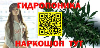гашик Славянск-на-Кубани