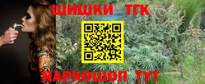 тгк Сланцы